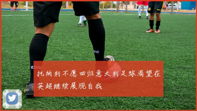 托纳利不愿回归意大利足球渴望在英超继续展现自我